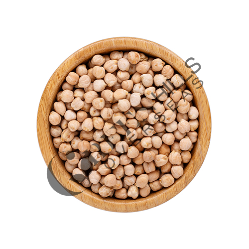 Chickpea